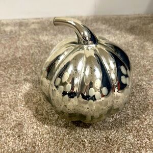 Mercury Glass Pumpkin